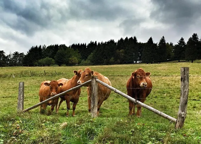 Bergblick Winterberg