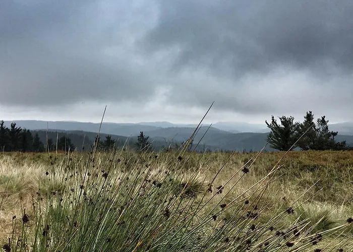 Διαμέρισμα Bergblick *