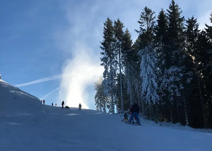 Apartamento Bergblick Winterberg